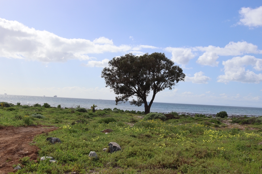 3 Bedroom Property for Sale in Sandy Point Western Cape